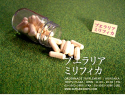 プエラリアミリフィカ